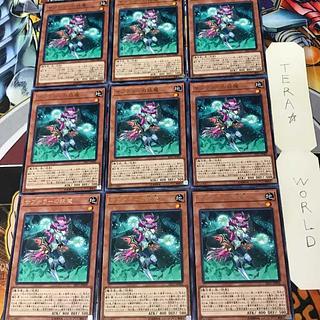 Subterror Fiendess 1 rare, set of 9 Tera.
