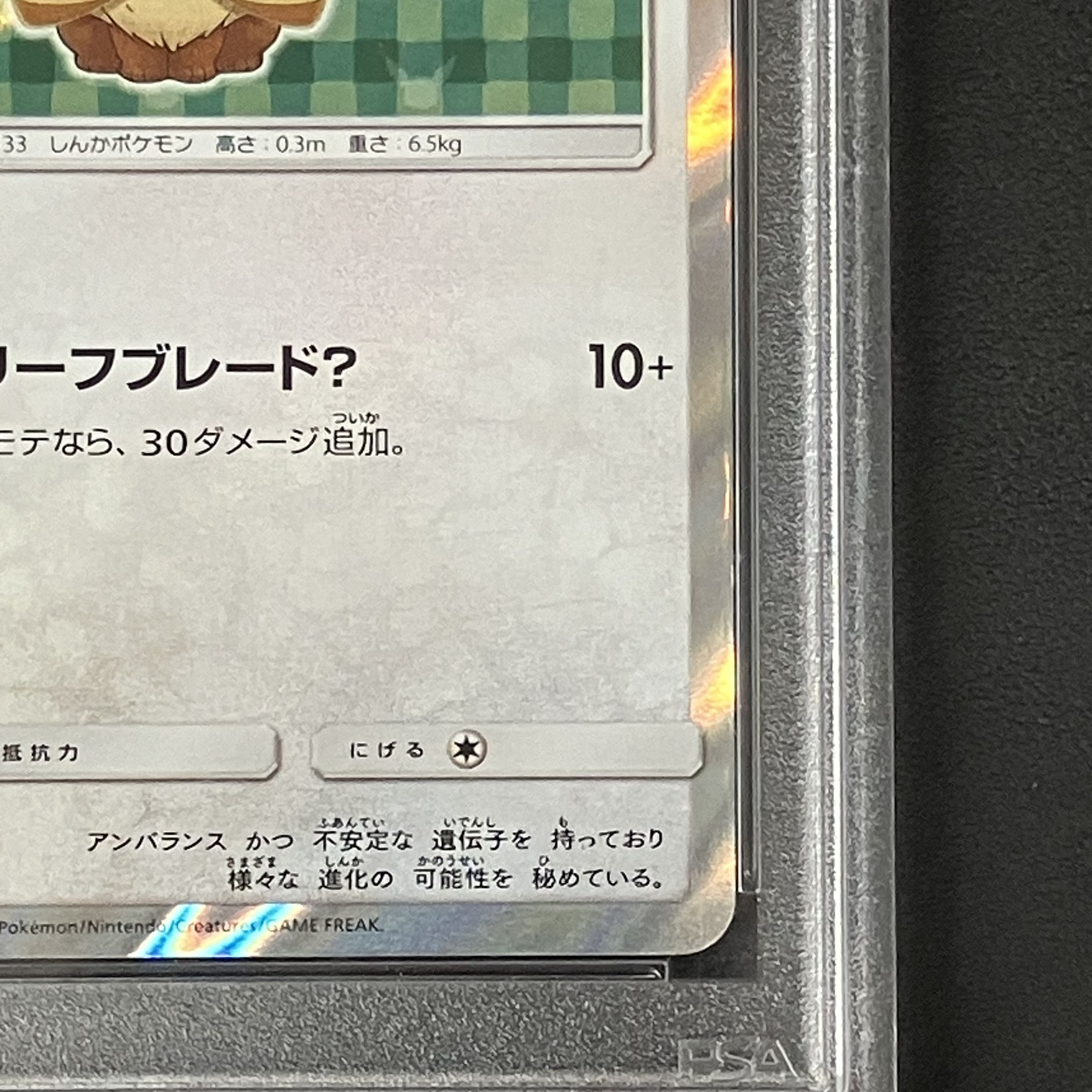 【PSA10】ポンチョを着たイーブイ PROMO 142/SM-P