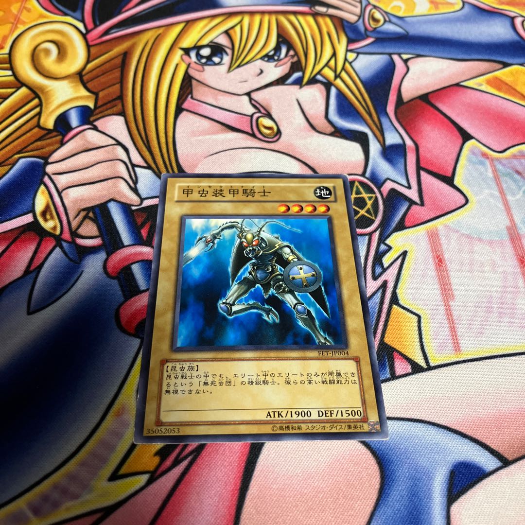 Insect Knight with scratches