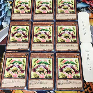 Prediction Princess Coinorma 1 rare, set of 9 Tera.