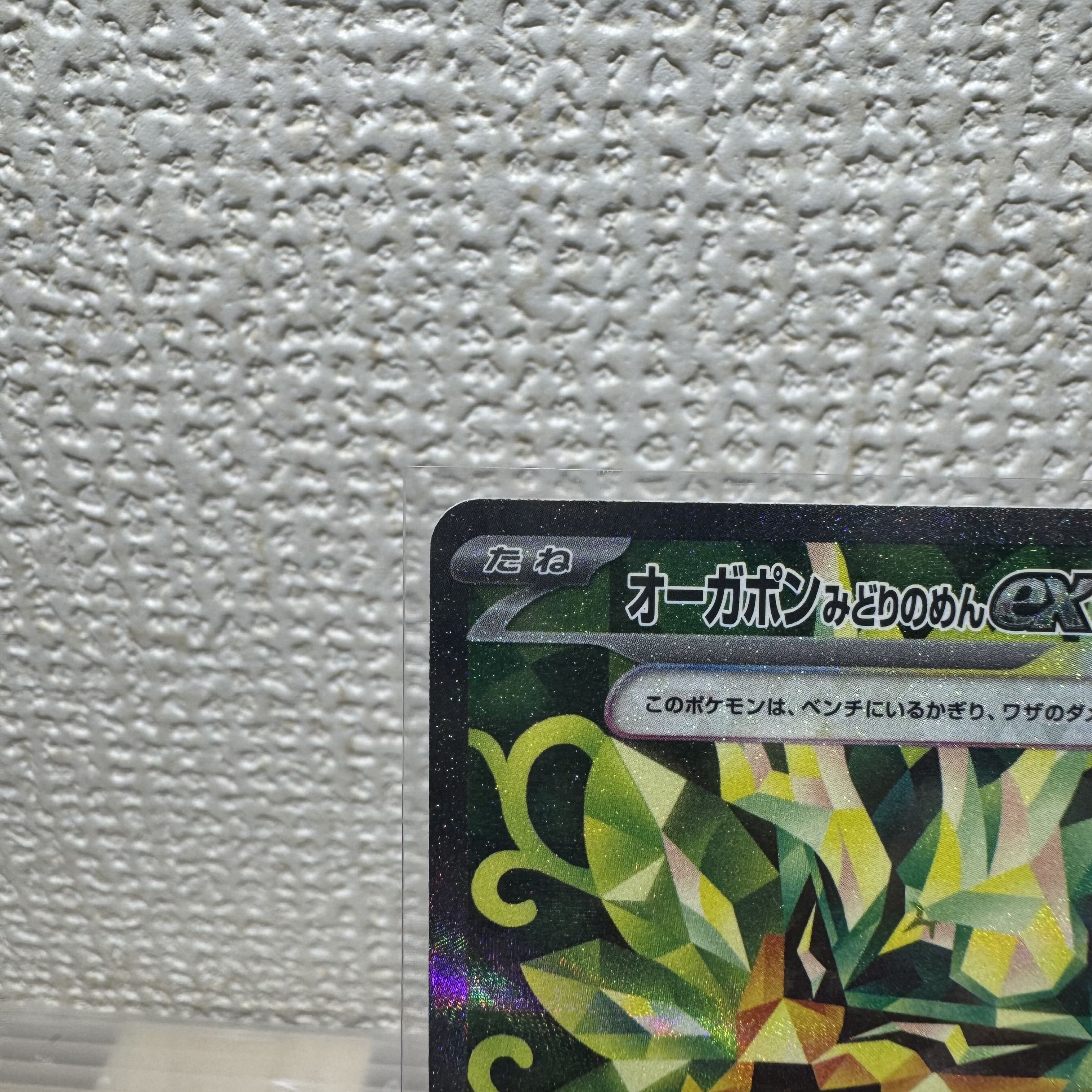 オーガポンみどりのめんex SAR 125/101