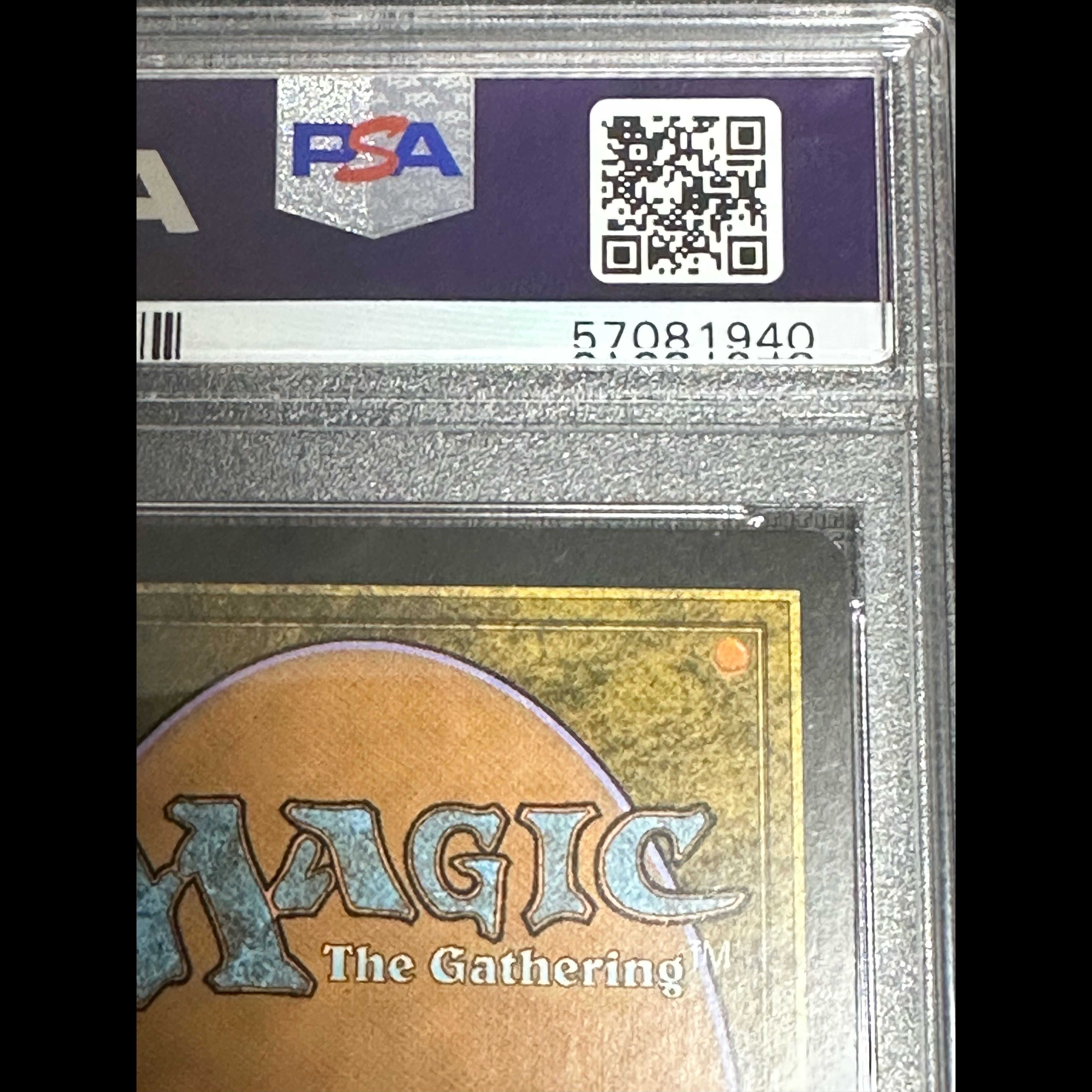 汚染された三角州 EXP foil PSA9 1枚