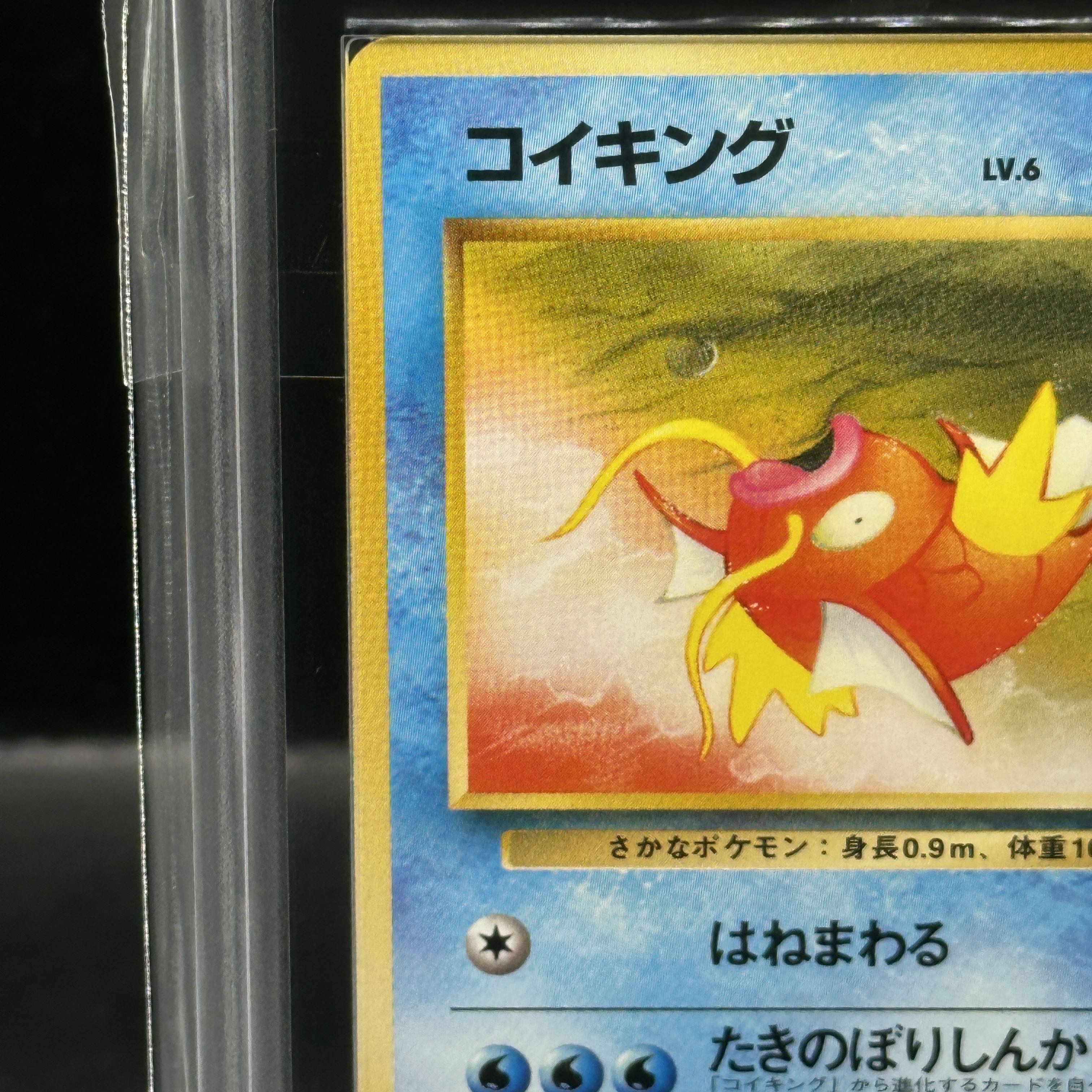 ARS10] Magikarp [old back #4 / Rocketeer] [old back]. 1枚