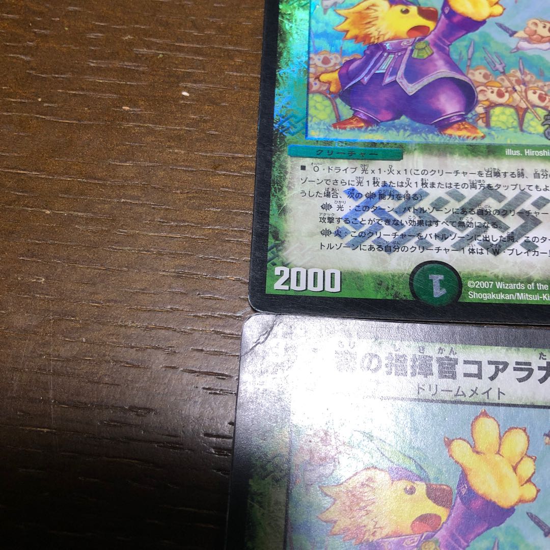 森の指揮官コアラ大佐(C.C) C-foil 53/55/Y6 4枚