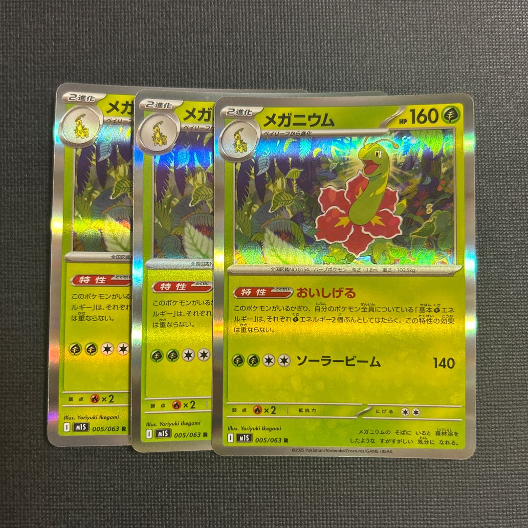 Meganium R 005/063 3枚