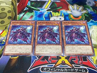 Y-3250 夜薔薇の黒騎士 ノーマル DOOD-JP005