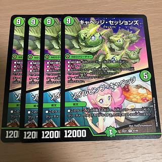 キャベッジ・セッションズ｜ソイルピンプ・キャベッジ R 47/89