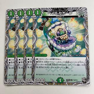 Bay B Segale (Black Treasure) U T10/T12