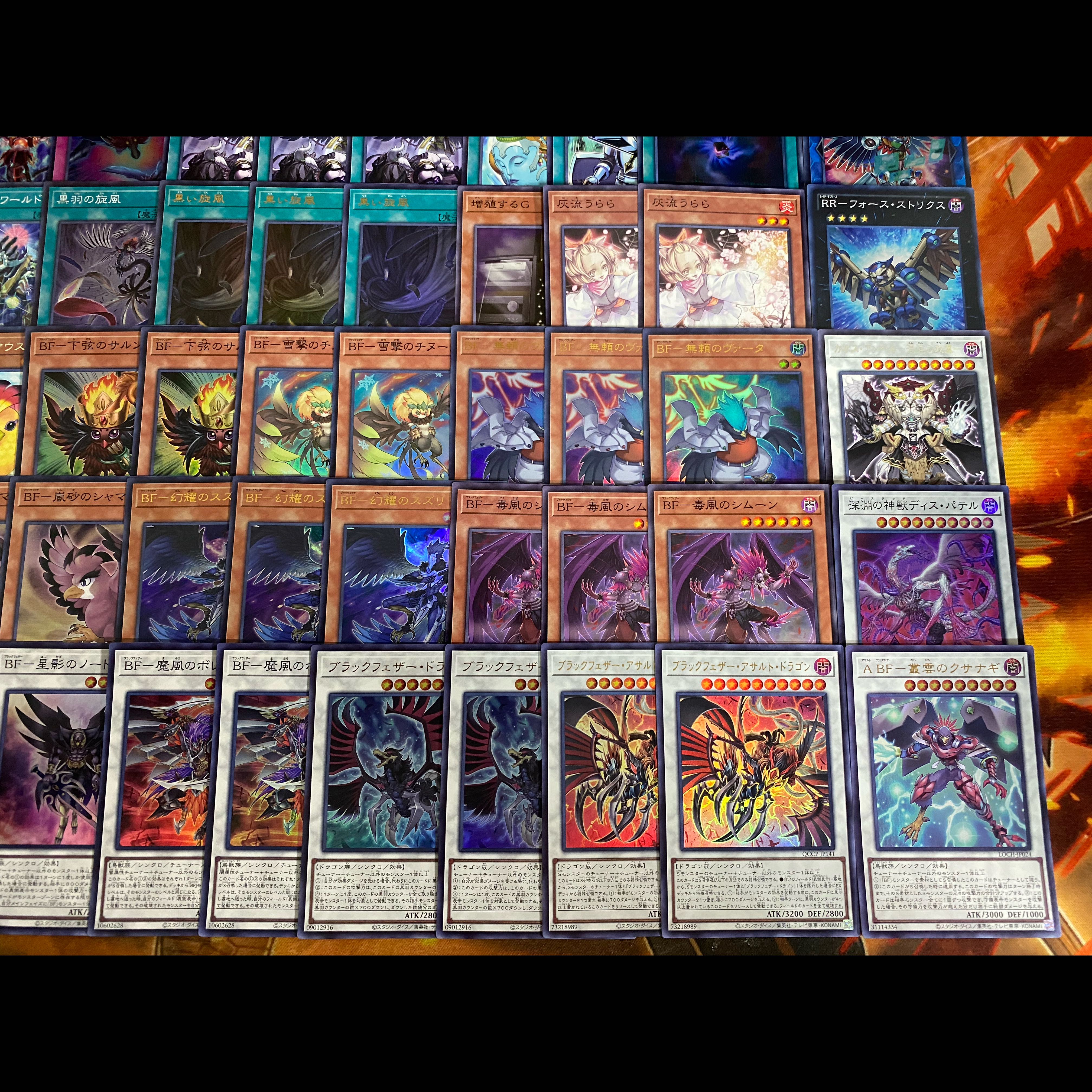 【24時間以内発送】遊戯王　BF  ブラックフェザー　本格構築デッキ　大会構築 1枚