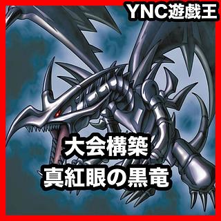 本格構築 原石真紅眼デッキ 遊戯王 真紅眼の黒竜 超魔導竜騎士ドラグーンオブレッドアイズ 真紅眼の黒星竜 真紅眼の亜黒竜 黒鋼竜 1枚