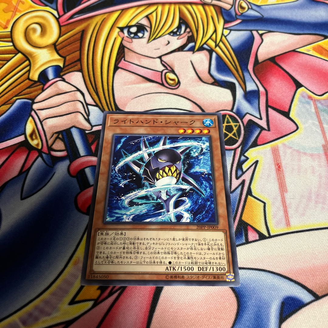 ライトハンド・シャーク ノーマル JP009 1枚