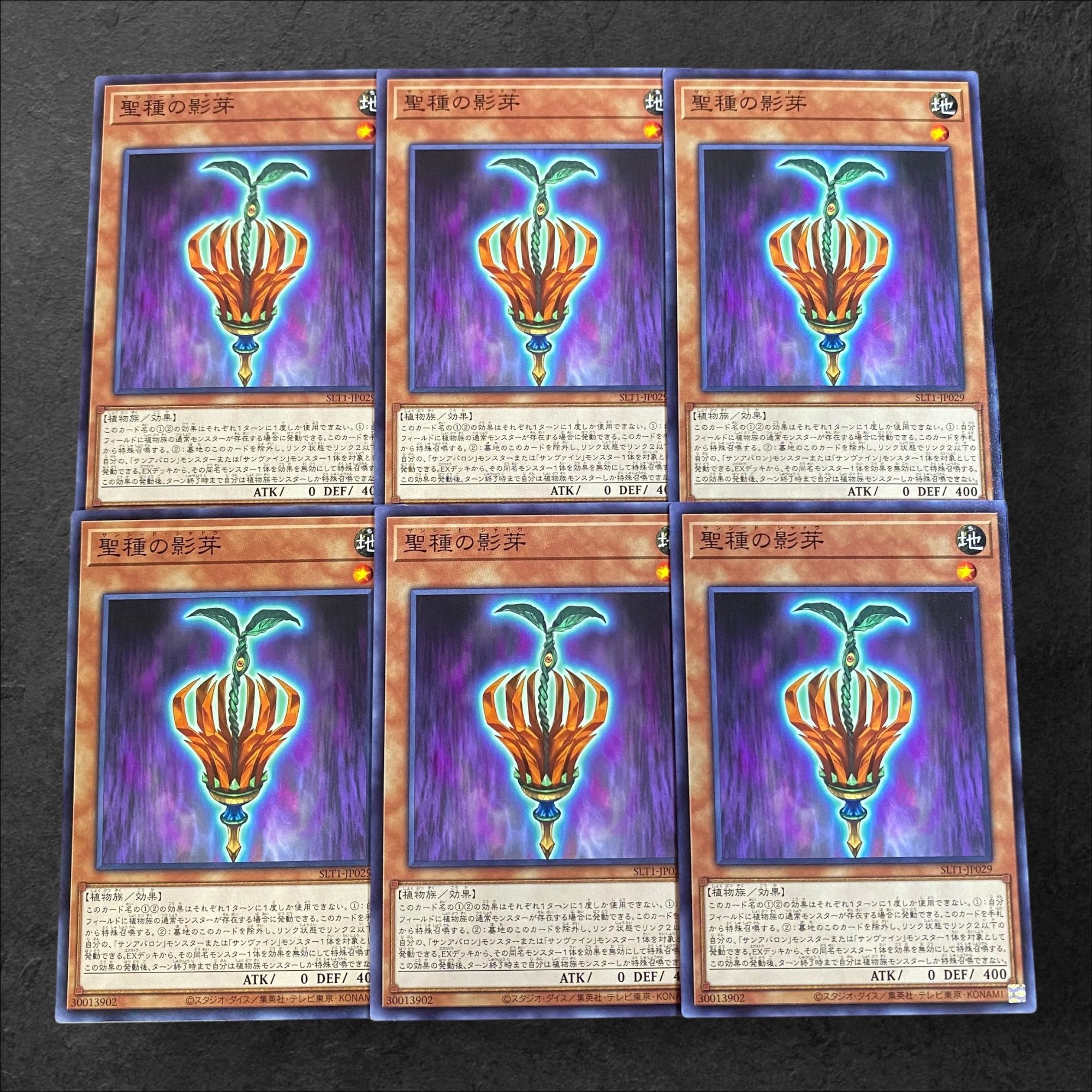 a253【遊戯王】聖種の影芽　6枚セット