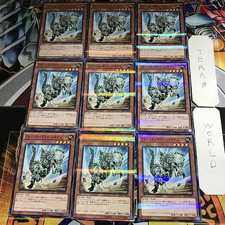 パキケファロ」の激安通販 | magi