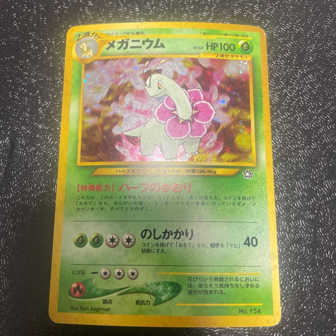 Meganium Premium File Old Back 1枚