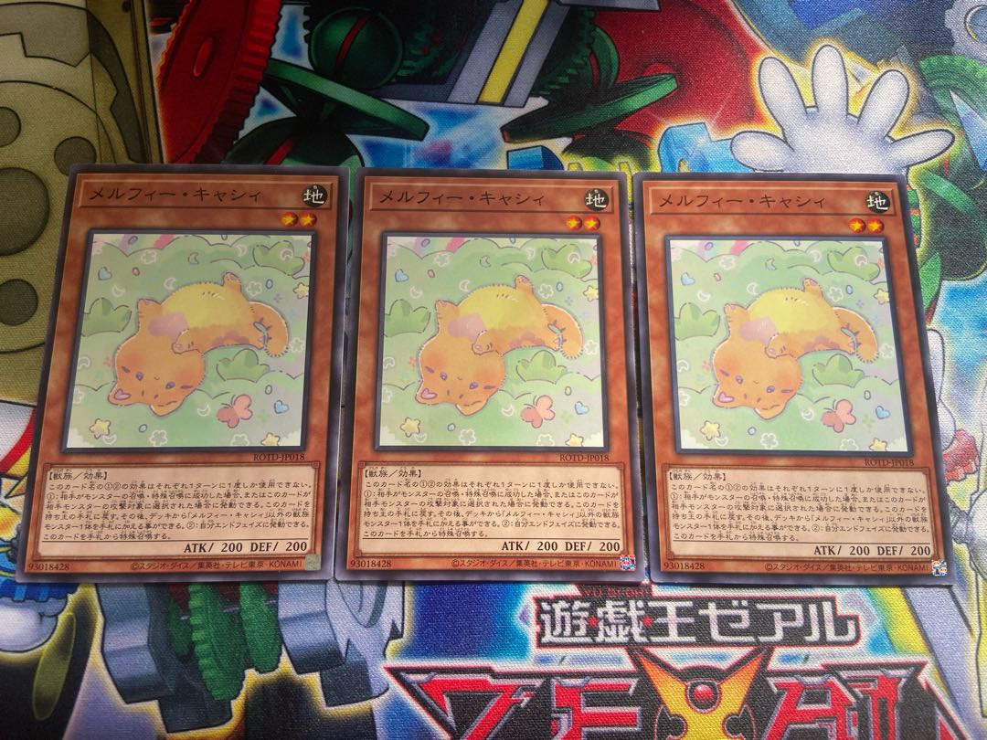 Y-747 Melffy Catty Normal JP018