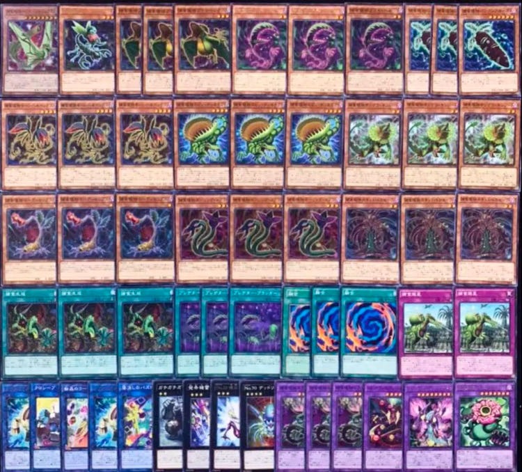 遊戯王 - 遊戯王 捕食植物デッキ メイン40エクストラ15 スリーブ