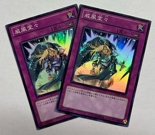 Chivalry Super Rare, set of 2