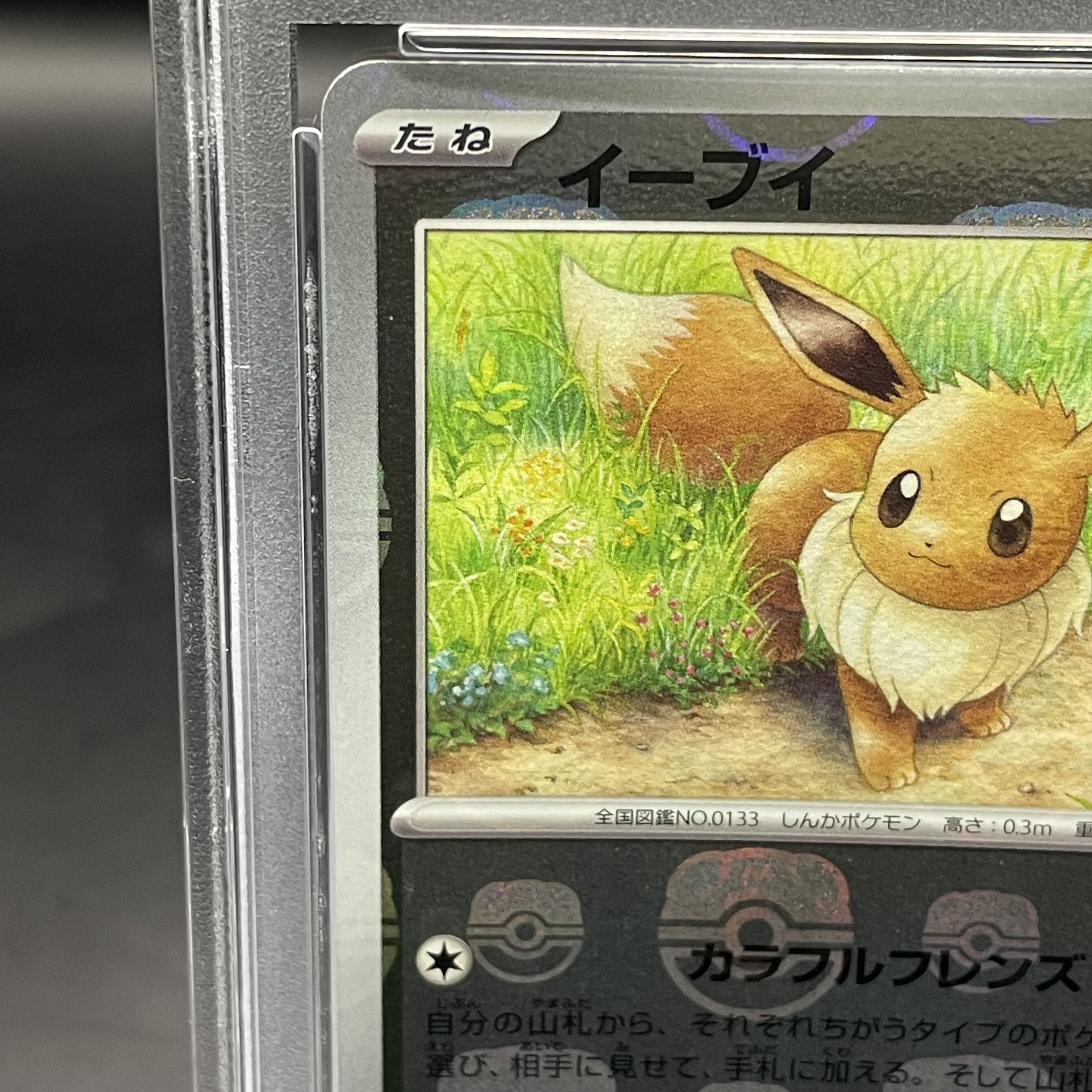 PSA10] Eevee (Master Ball Pattern/Mirror Spec.) C 133/165