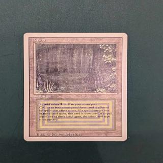 Bayou