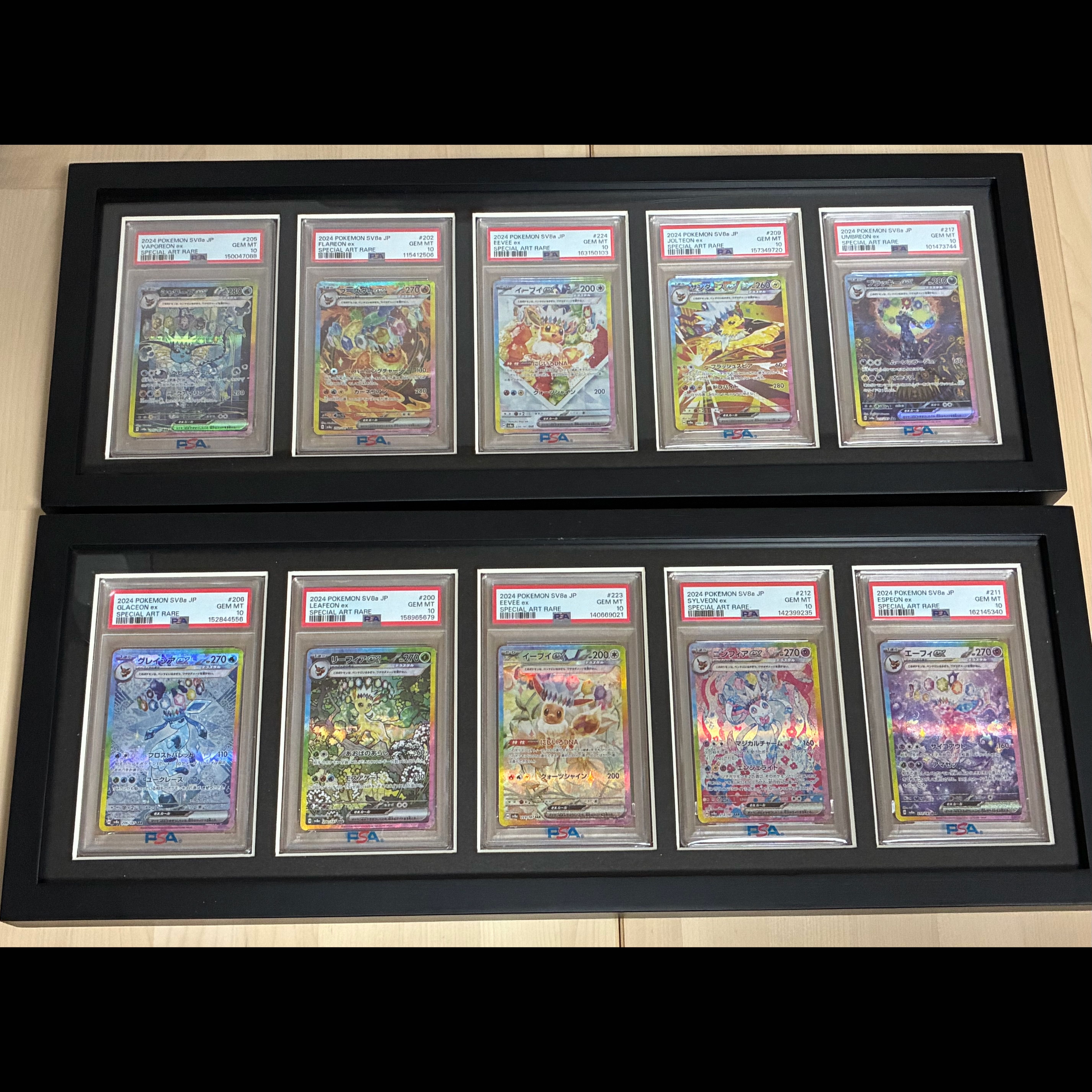Terrastal Fest EX Buiz Complete Set SAR PSA10 10-Card Set with Frame 1枚