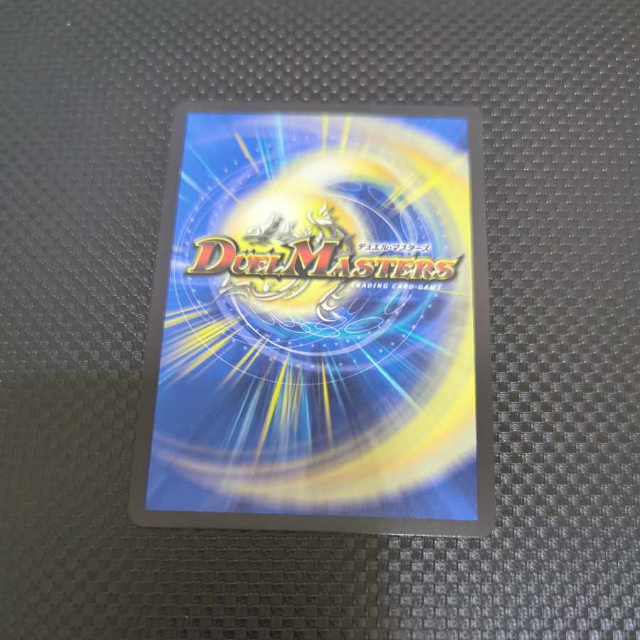 飛翔龍 5000VT(銀トレジャー) VIC TR1/TR9