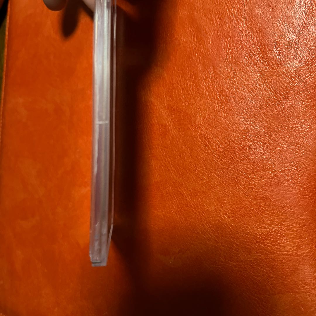 [PSA10] Shauna SR 077/067