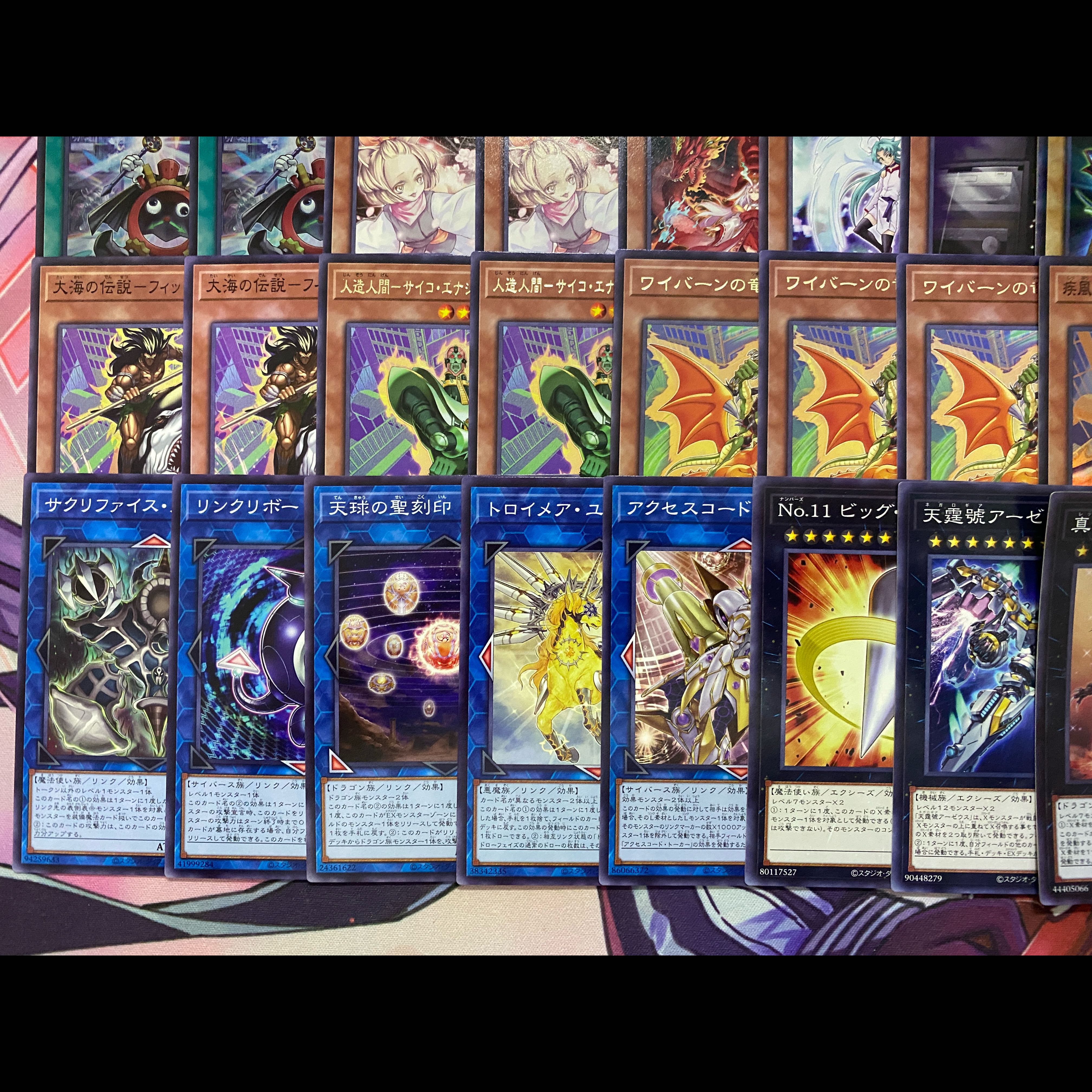 【24時間以内発送】遊戯王　時の黒魔術師　城之内　レッドアイズ　大会構築デッキ 1枚