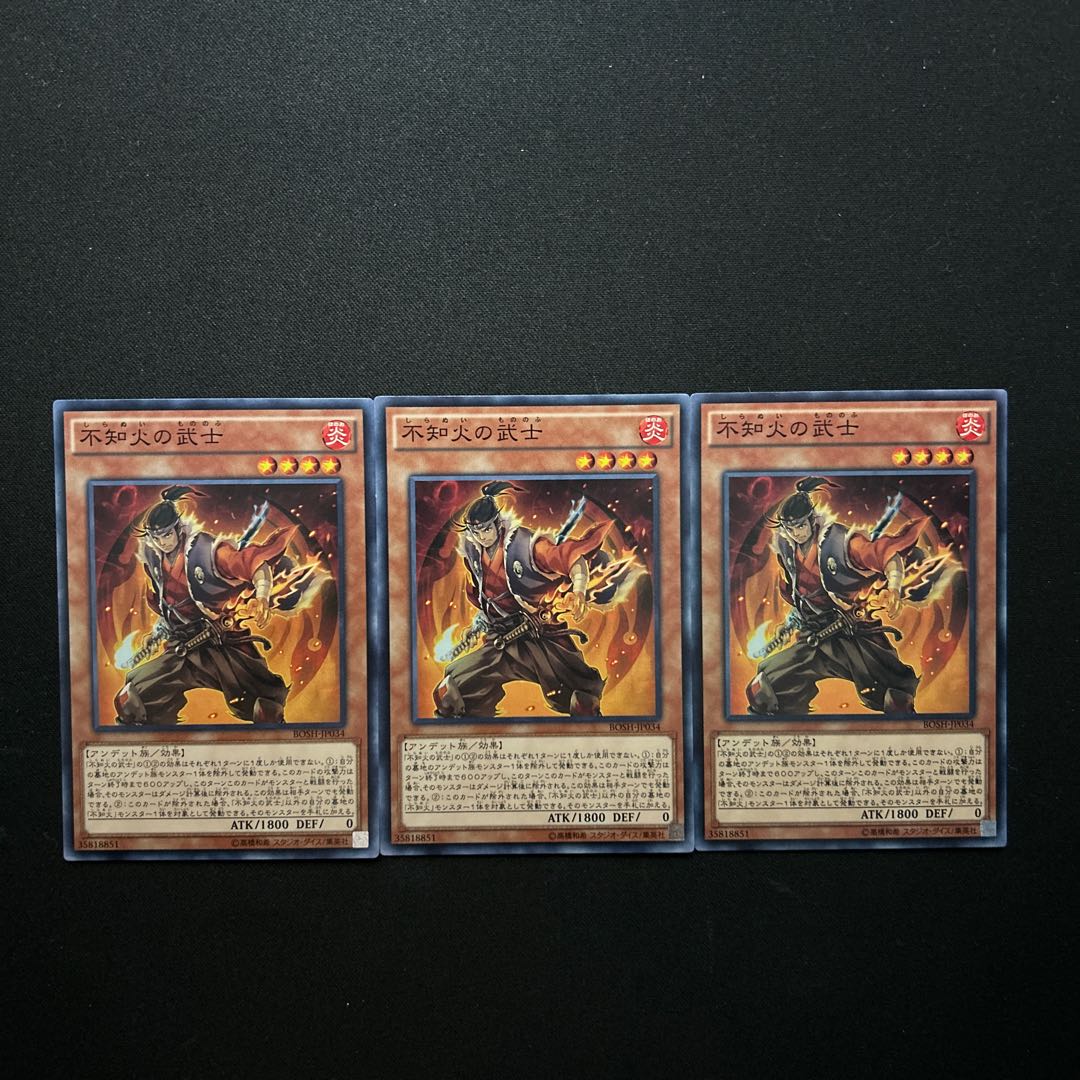 3009 Shiranui Samurai#1495