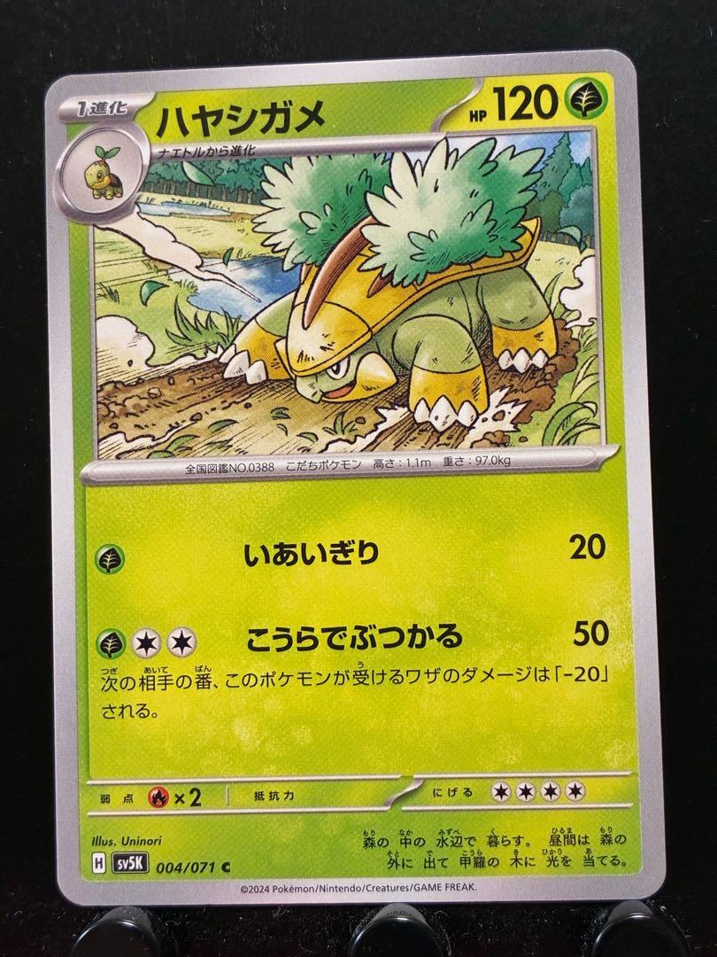 Rakurakudo] Pokeka Grotle