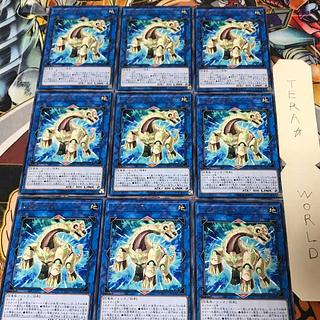 Reprodocus 1 Rare, set of 9 Tera.