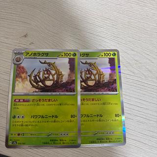 Anohoragusa (R spec.) 012/187