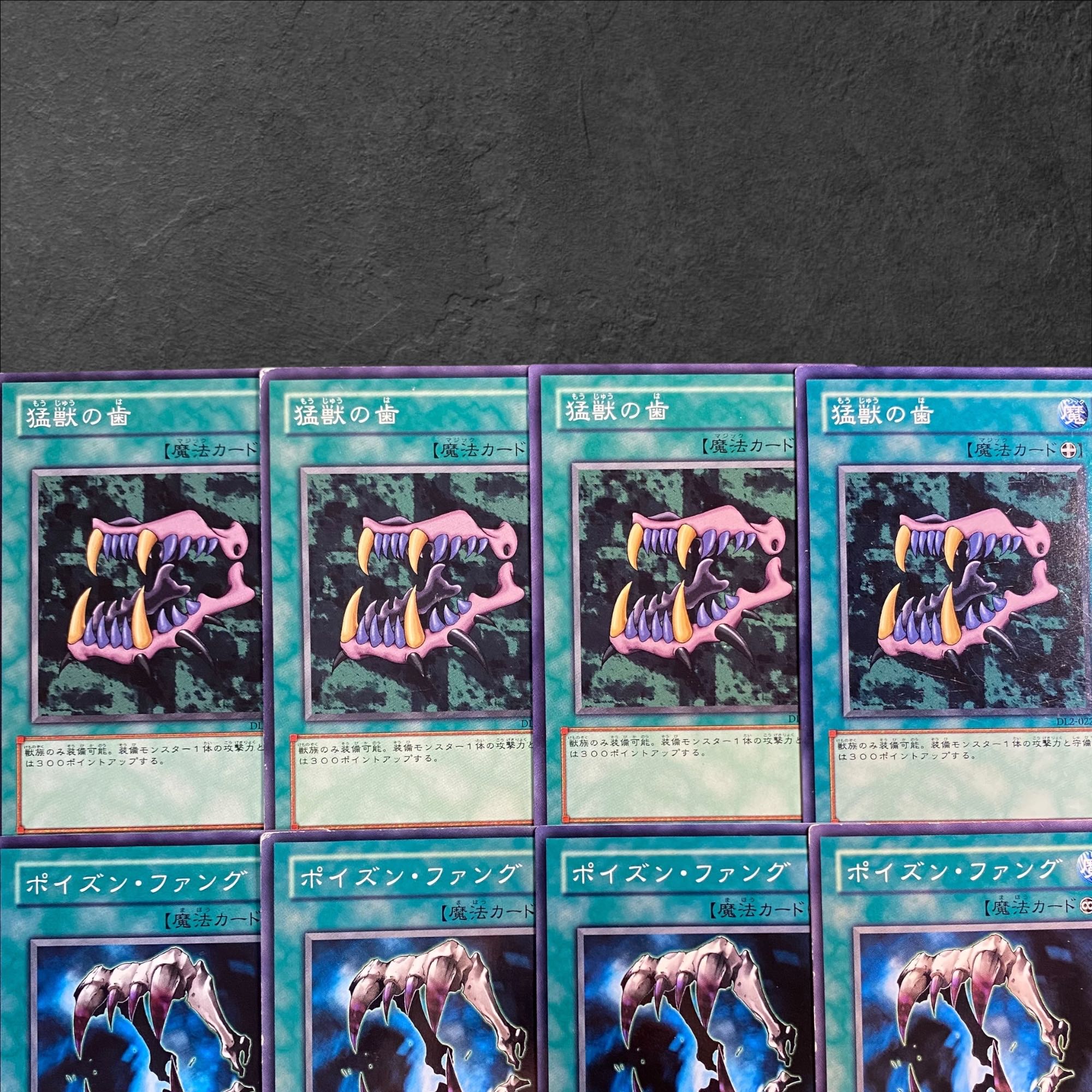 8371【遊戯王】猛獣の歯・ポイズン・ファング　各4枚8枚セット