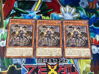 Y-2243 Darkness Demon Mistress A Squirrel Normal JP028