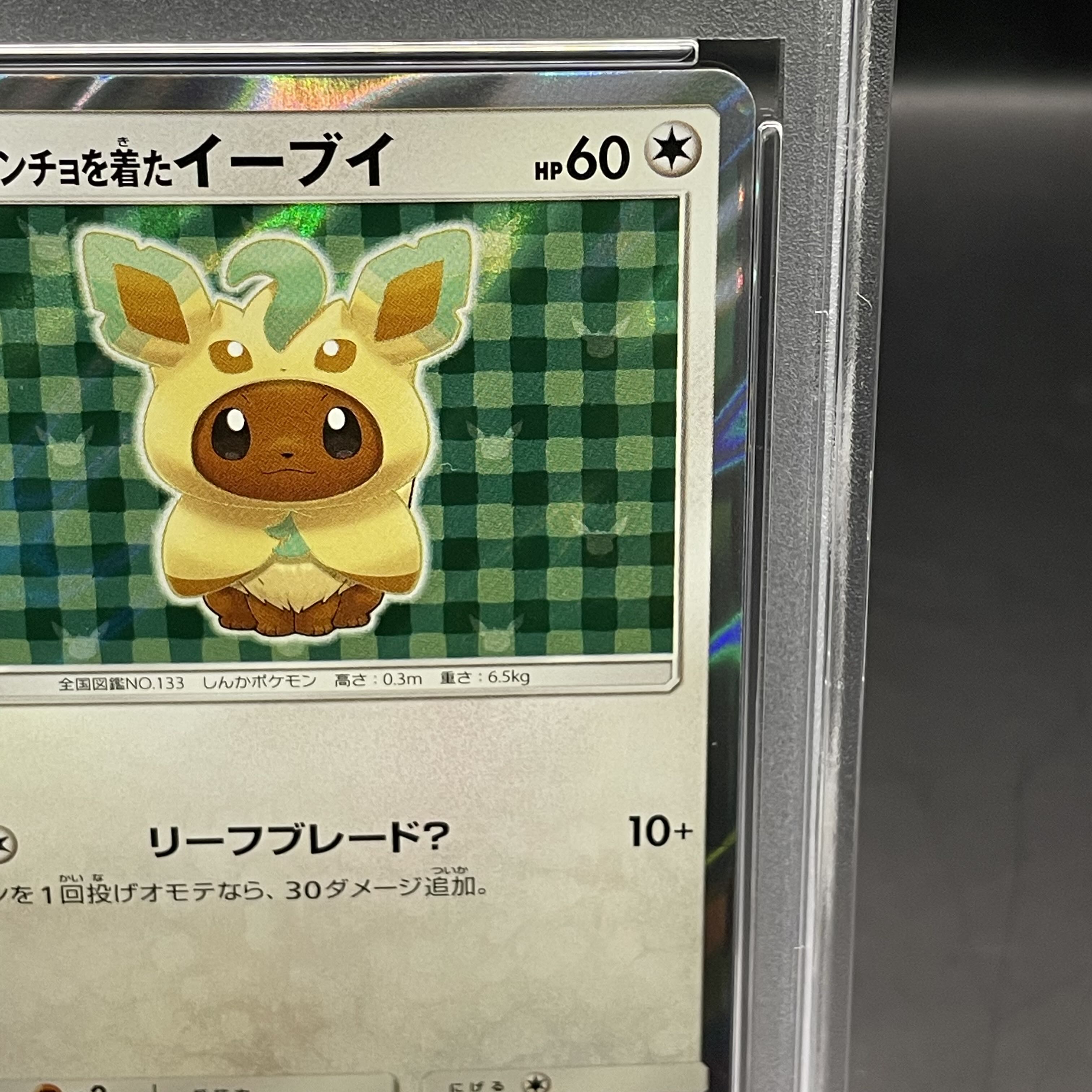 【PSA10】ポンチョを着たイーブイ PROMO 142/SM-P