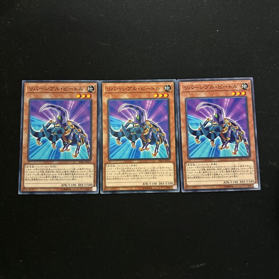 7546 Reversible Beetle $1511