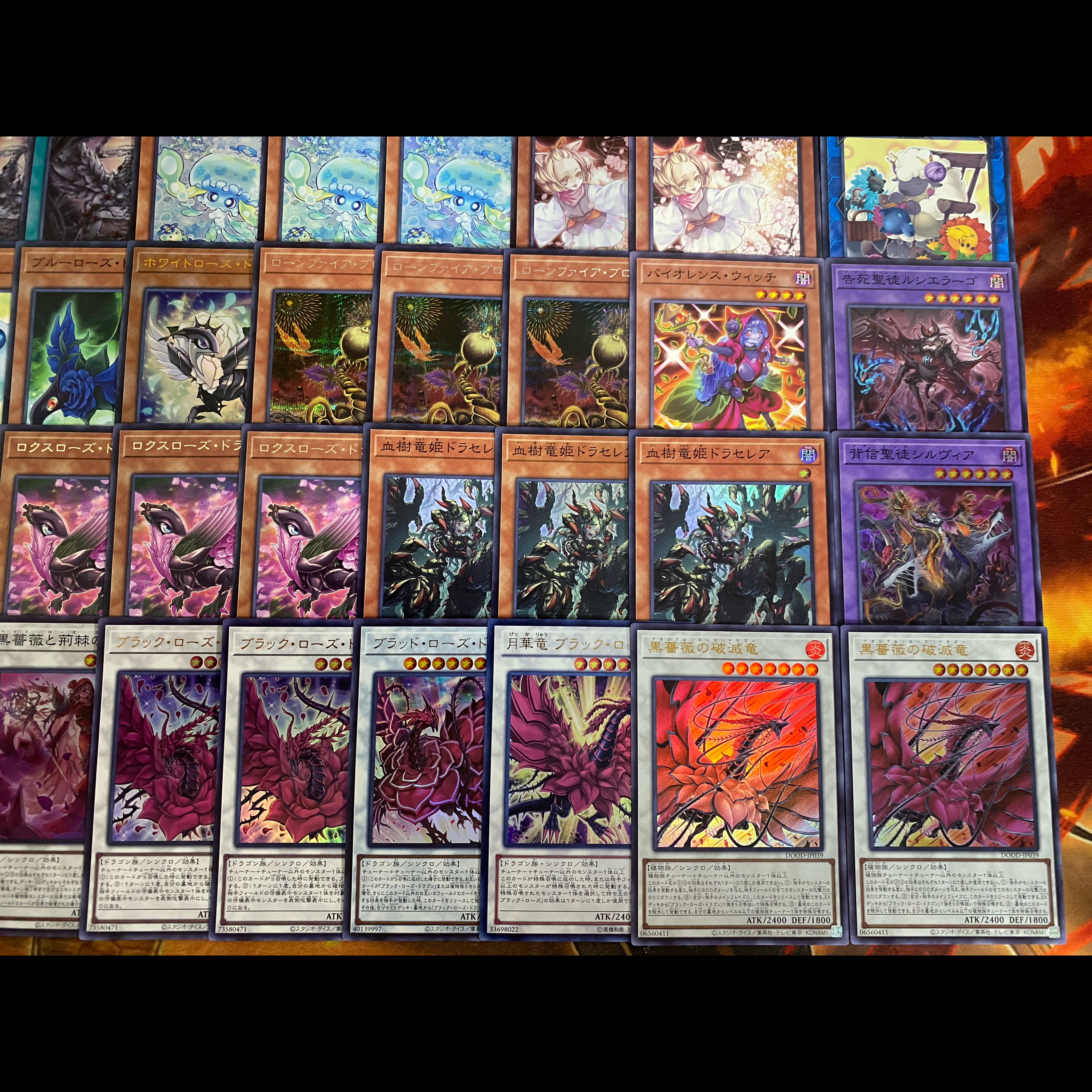 遊戯王　本格構築デッキ　ブラックローズドラゴン　大会構築【24時間以内発送】 1枚