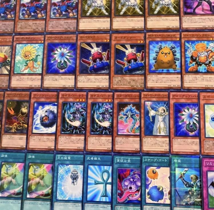Yu-Gi-Oh [1103 Environment! 40 quick dandies 1枚