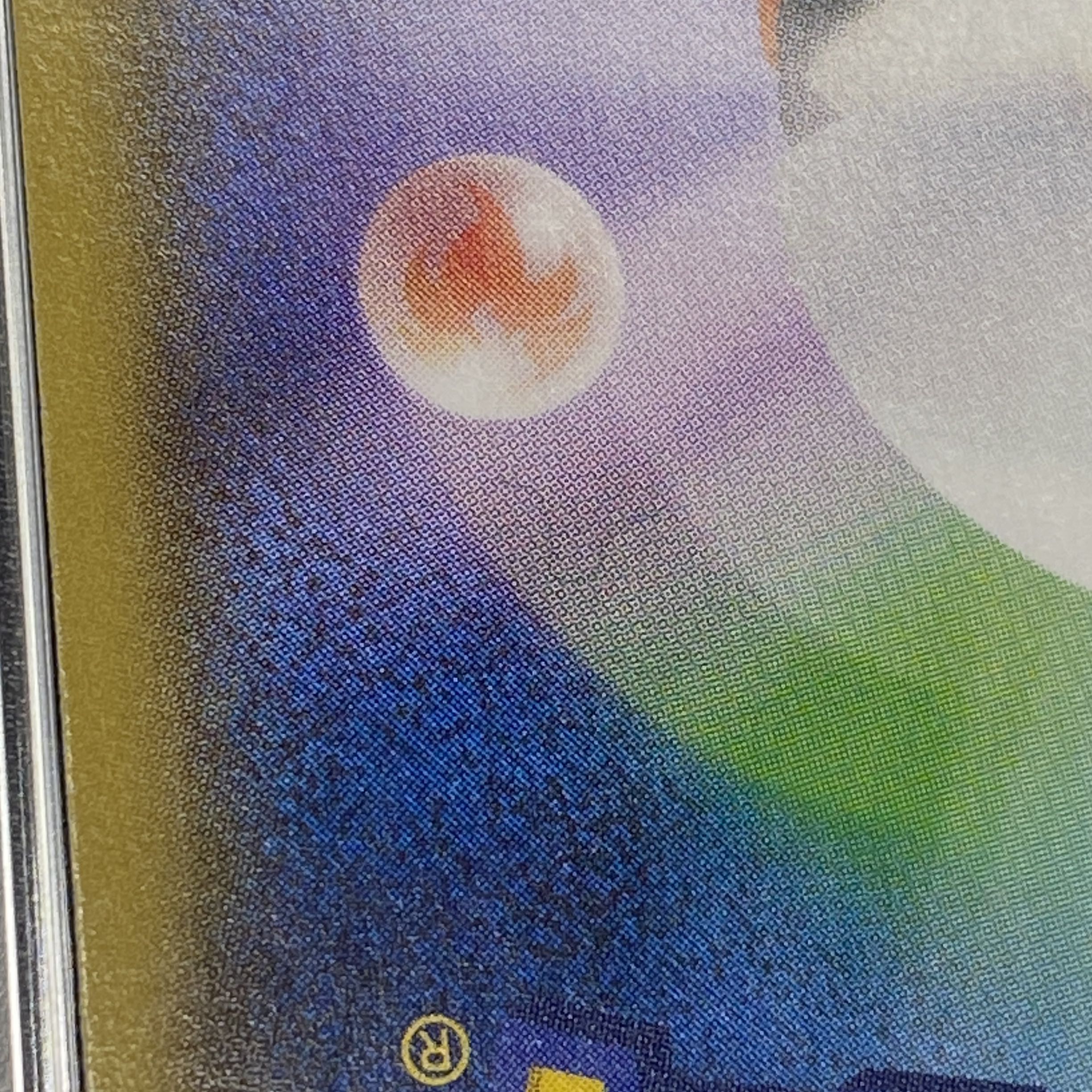 PSA10] Magikarp Gokko Pikachu PROMO 150/XY-P