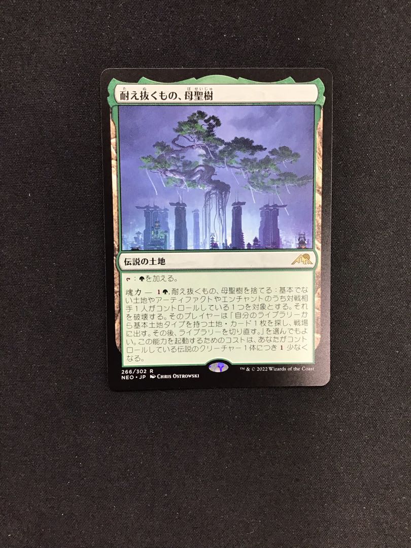 Amazon.co.jp: MTG 耐え抜くもの、母聖樹 神河 本語版 R セット