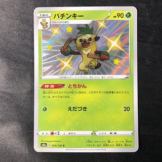 バチンキー S 204/190 1枚