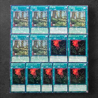 6126【遊戯王】大樹海（6枚）森のざわめき（7枚）計13枚セット