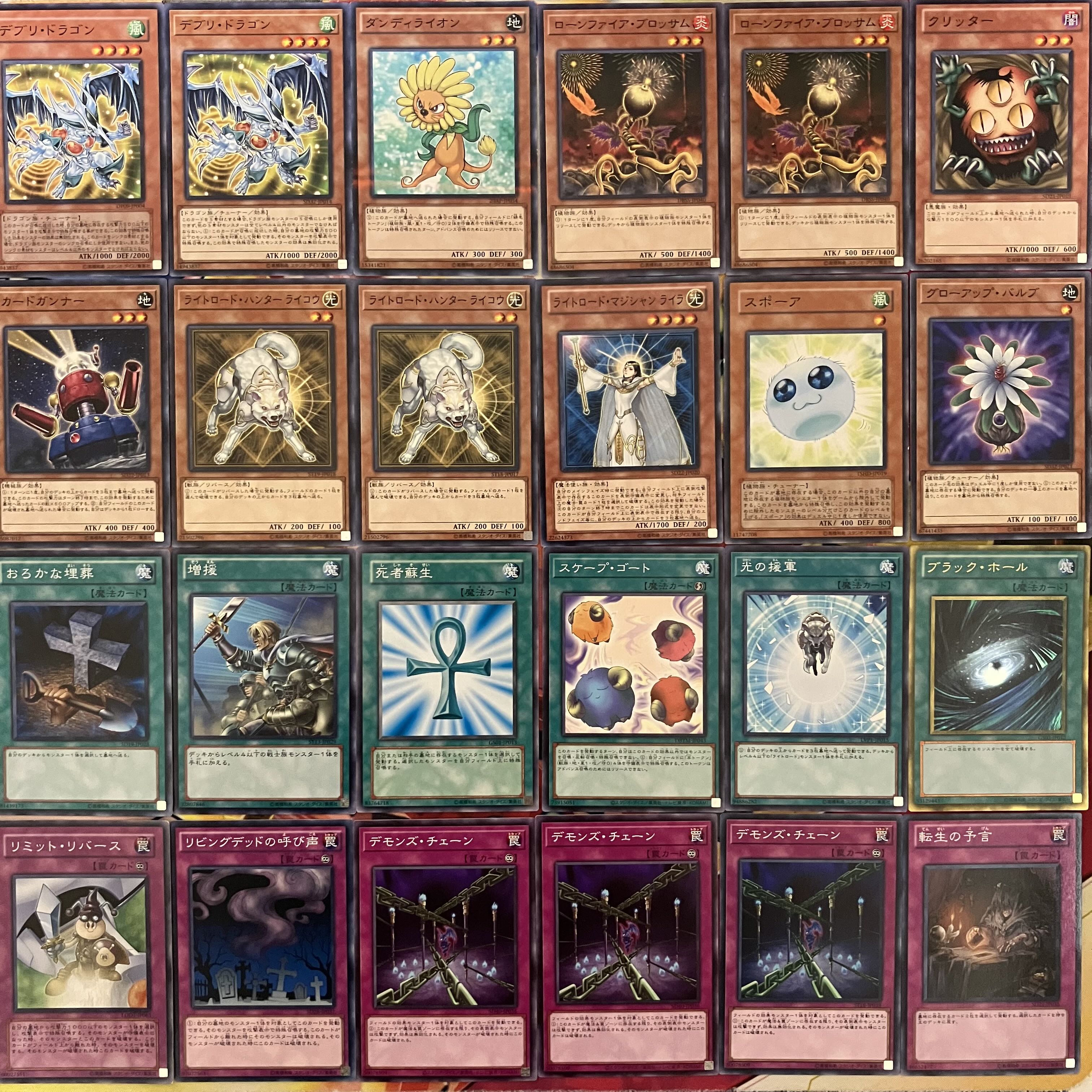 遊戯王 - No.1470 1103環境 デブリダンディ デッキ ゲートボール 遊戯王 No.1470 1103環境 デブリダンディデッキ ゲートボール 遊戯王の
