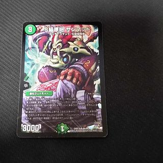 Class S Primitive Sunmad SR S9/S9 1枚