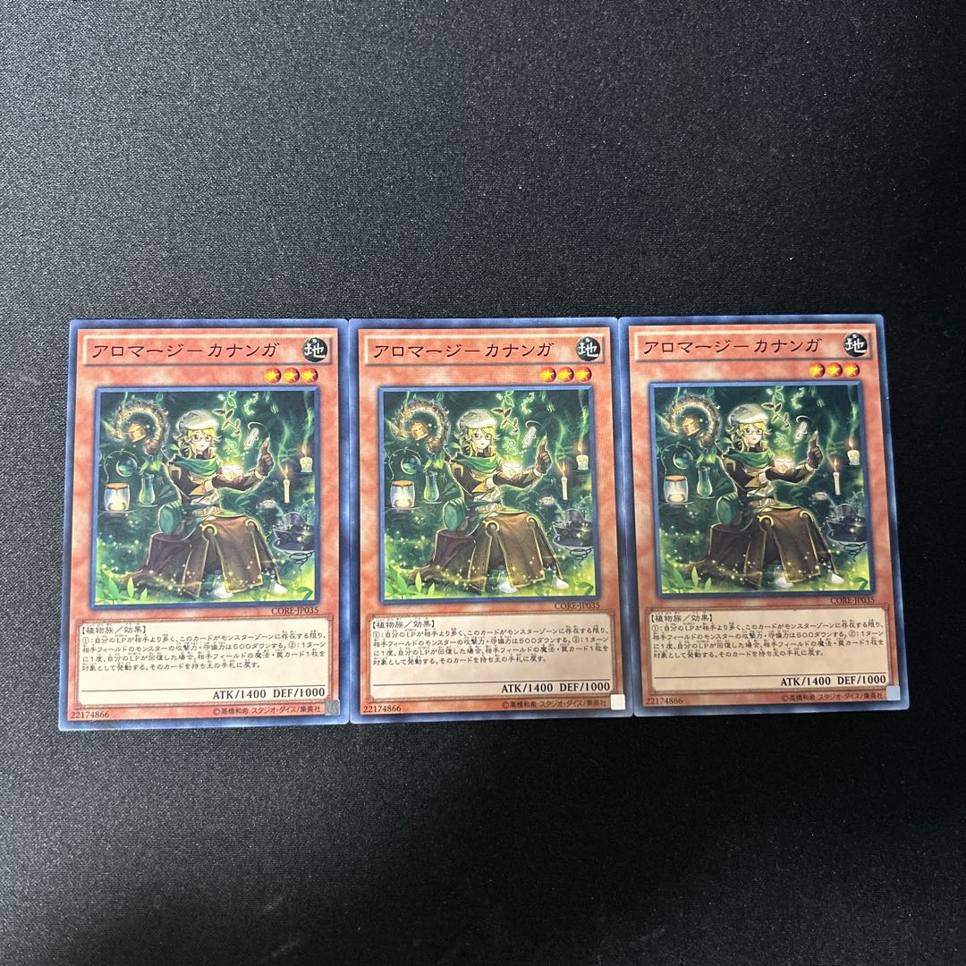 3133 アロマージ-カナンガ ノーマル JP035