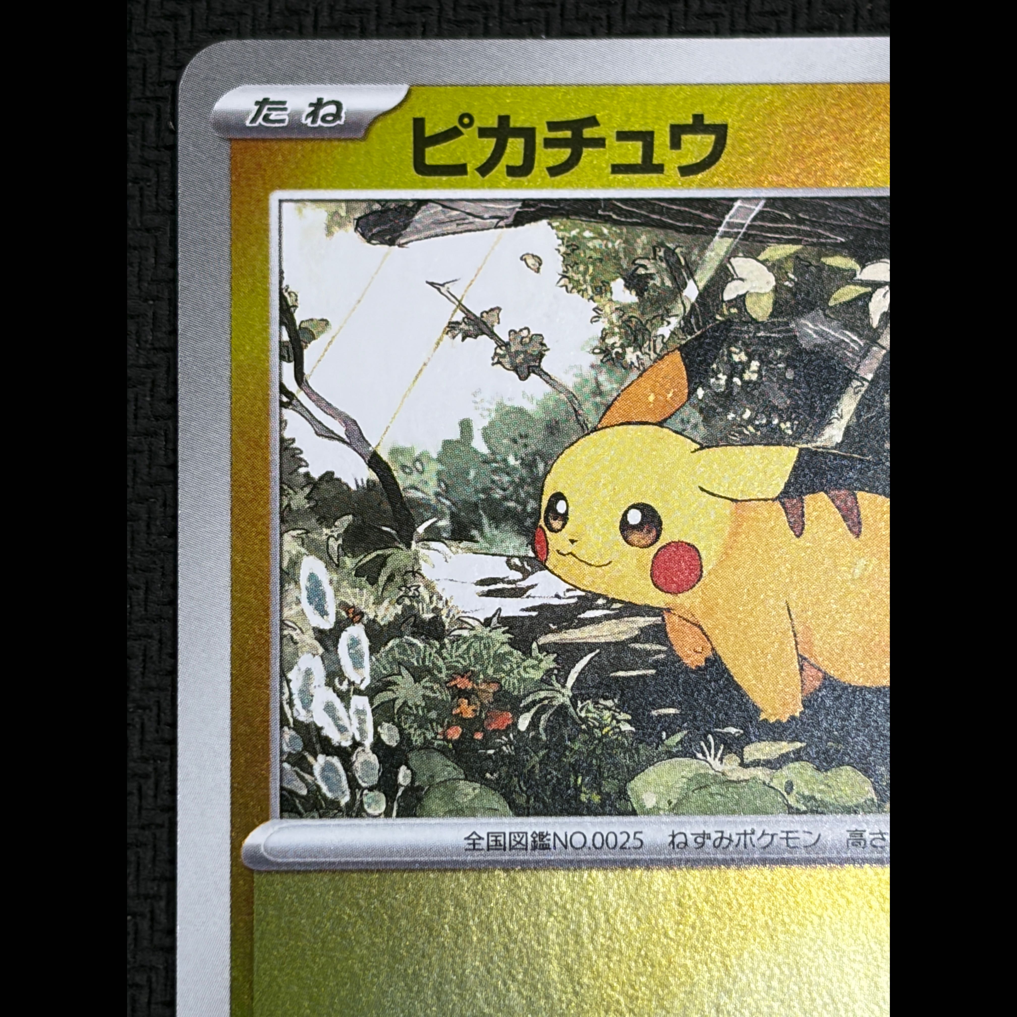 ① State B Pikachu (Mirror Finish) S-TD 225/742 1枚