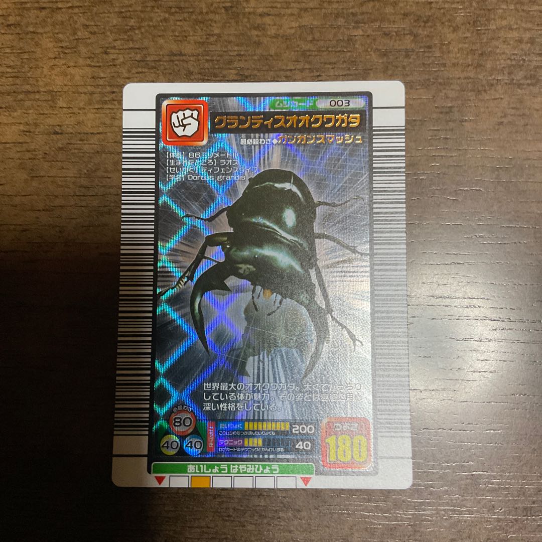 グランディスオオクワガタ