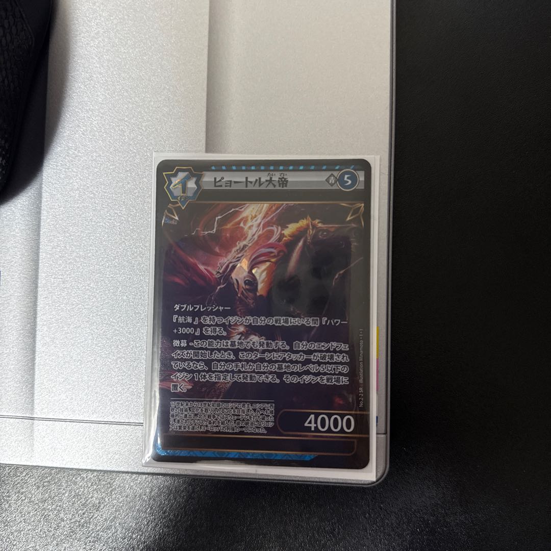 SRピョートル大帝（イジンデン） 1枚