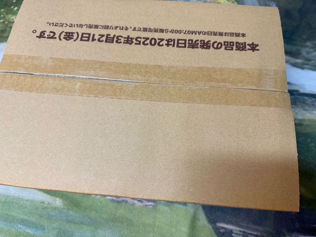 ブースターパック エリートスパーク 新品未開封1カートン ホロ