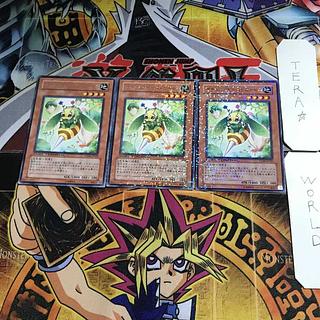 Naturia Fruitfly DT06 1 Duel Terminal, Set of 3 Tera