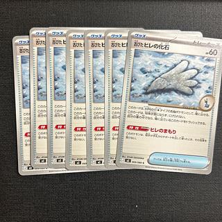 Old fin fossil C 069/080 7枚